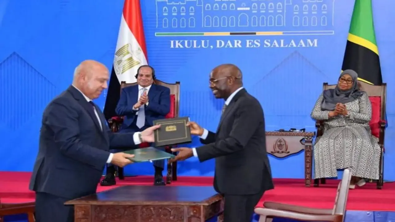 مصر وتنزانيا تتفقان على تعزيز التعاون في الكهرباء والطاقة المتجددة